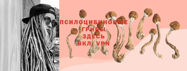 spice Арсеньев