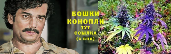 spice Арсеньев