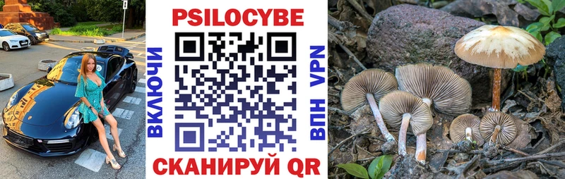 Псилоцибиновые грибы мицелий  Сухиничи 
